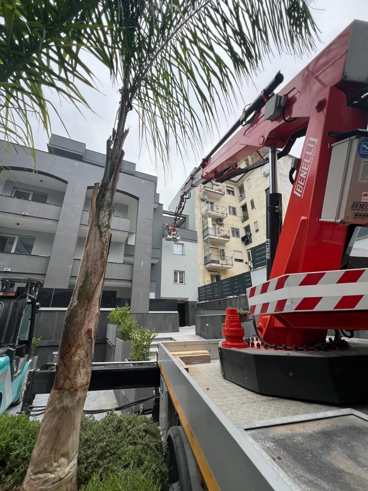 About La Vetta Srls 15